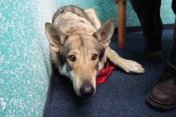 Resize of DSC02246.JPG